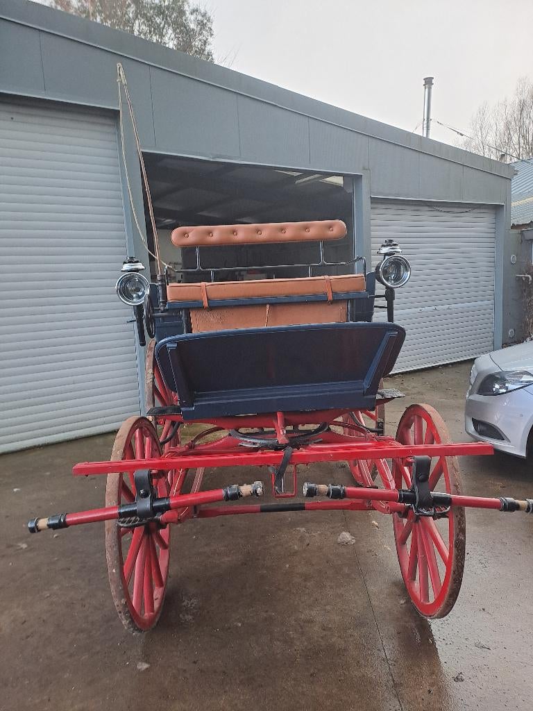 Koets te koop, Wagonette
