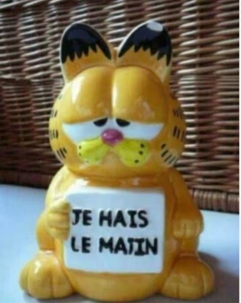 Spaarpot garfield je hais le matin, Verzamelen, Ophalen of Verzenden, Garfield, Gebruikt, Overige typen