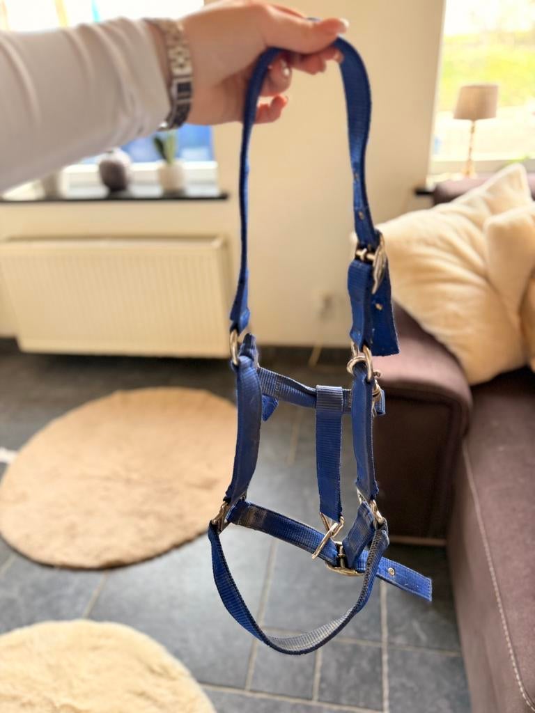 Licol bleu, Enlèvement ou Envoi, Comme neuf