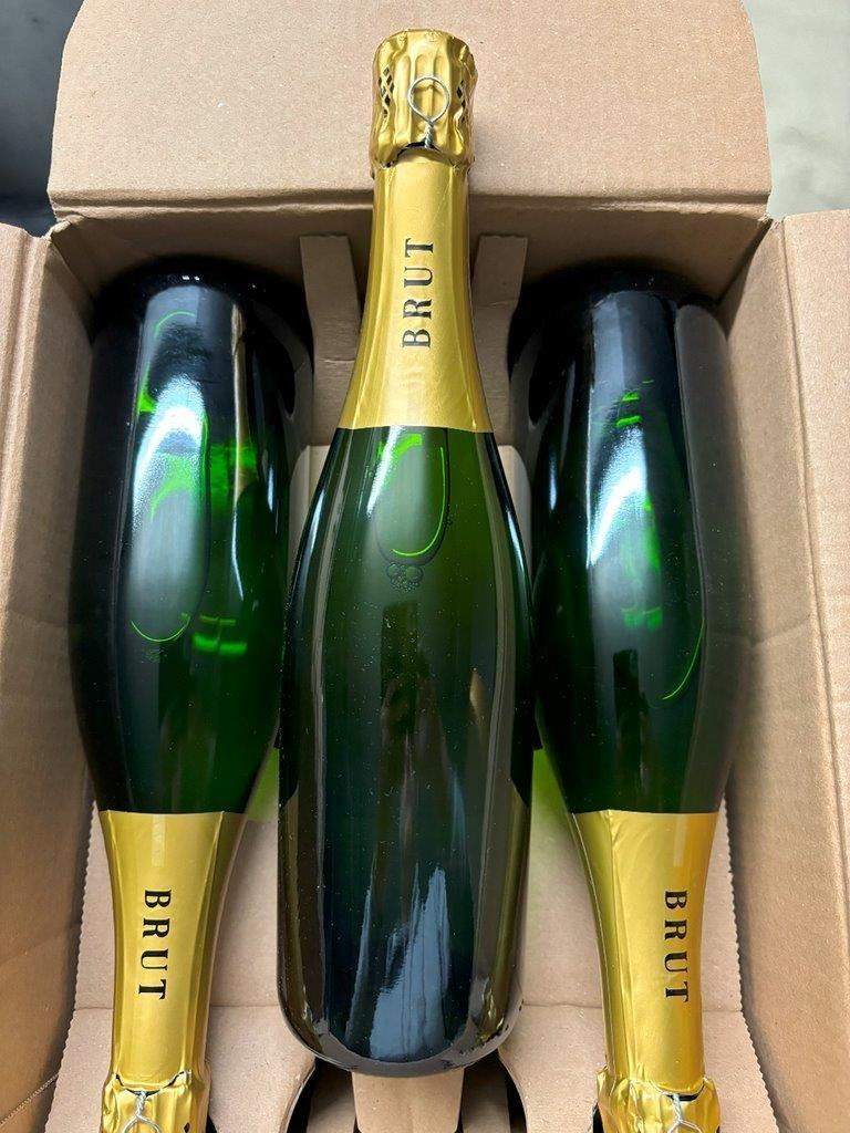champagne brut, Verzamelen, Wijnen, Nieuw, Champagne, Frankrijk, Vol, Ophalen of Verzenden