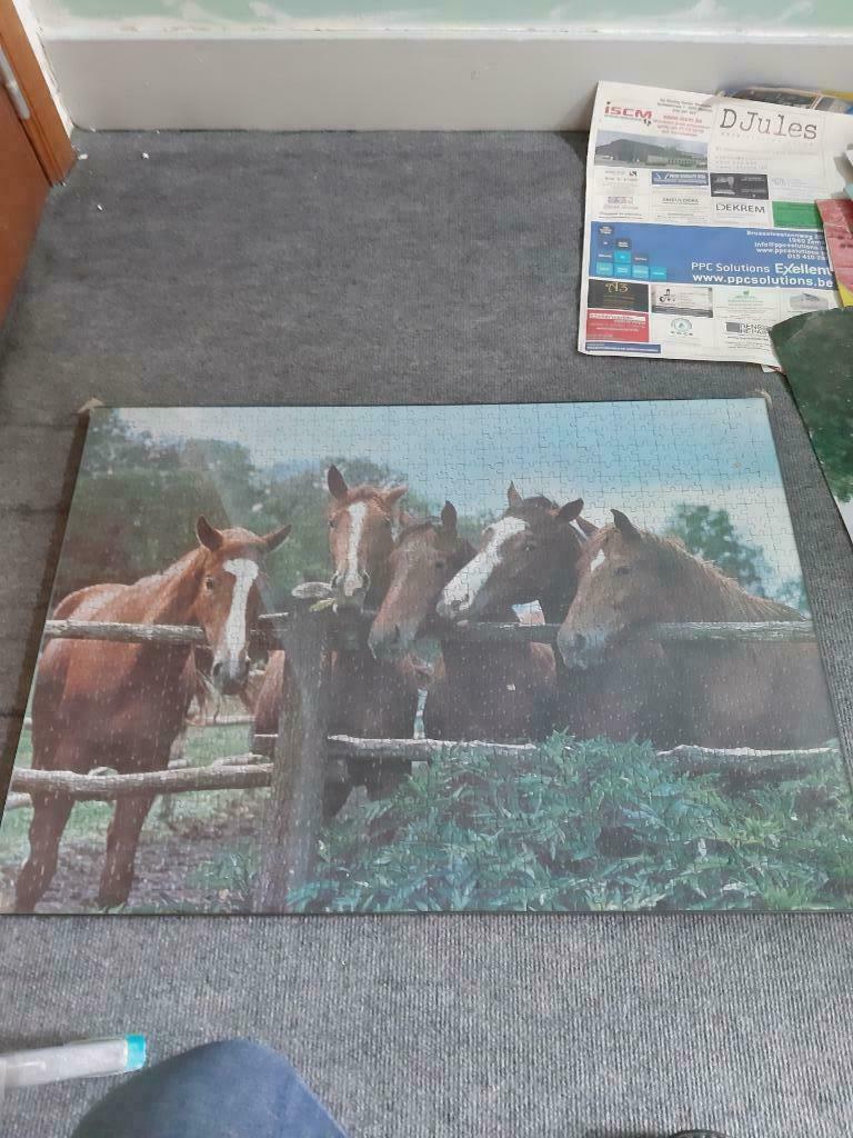 magazines over paarden, puzzel in kader, Dieren en Toebehoren, Ophalen of Verzenden, Nieuw