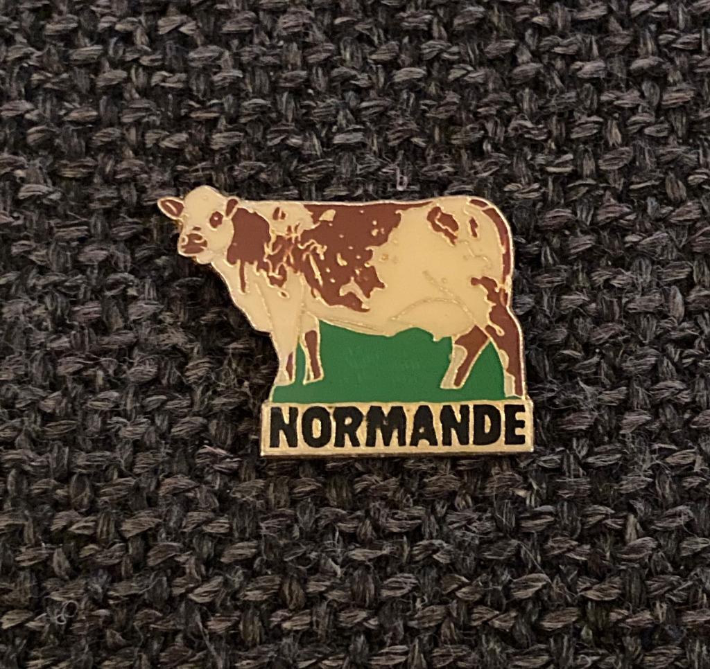 PIN - NORMANDE - NORMANDIE - FRANCE - FRANKRIJK - KOE  VACHE, Verzamelen, Verzenden, Gebruikt, Stad of Land, Speldje of Pin