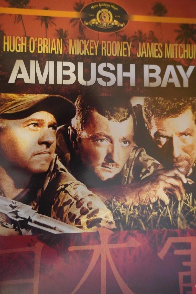 Ambush Bay dvd, Enlèvement ou Envoi, Comme neuf, Guerre
