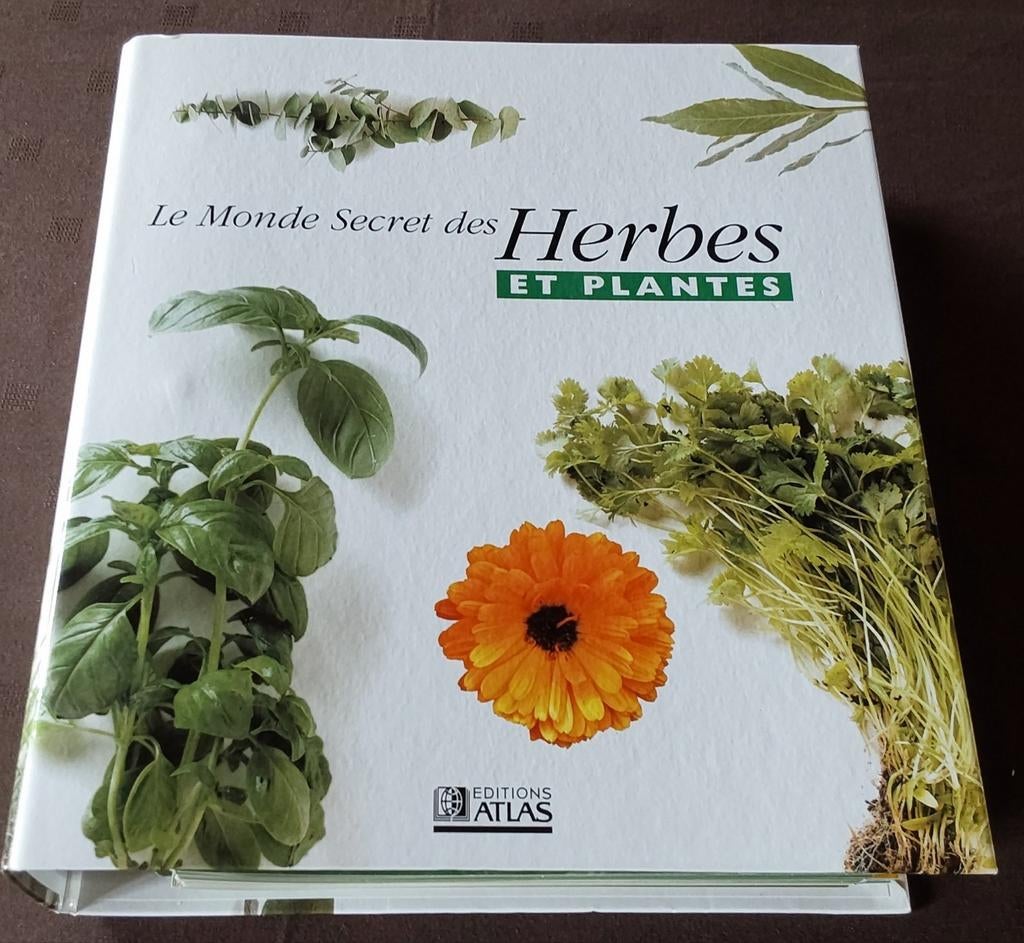 fiches sur"le Monde Secret des arbres et  plantes éd atlas, Enlèvement ou Envoi, Neuf, Fleurs, Plantes et Arbres, Atlas