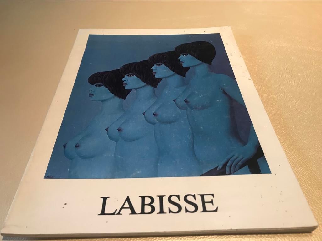 Felix Labisse Peintures Paris 40pag, Boeken, Ophalen of Verzenden, Zo goed als nieuw, Schilder- en Tekenkunst