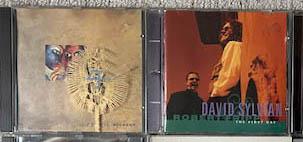 DAVID SYLVIAN - 2 TITELS CD'S, Cd's en Dvd's, Ophalen of Verzenden, Zo goed als nieuw