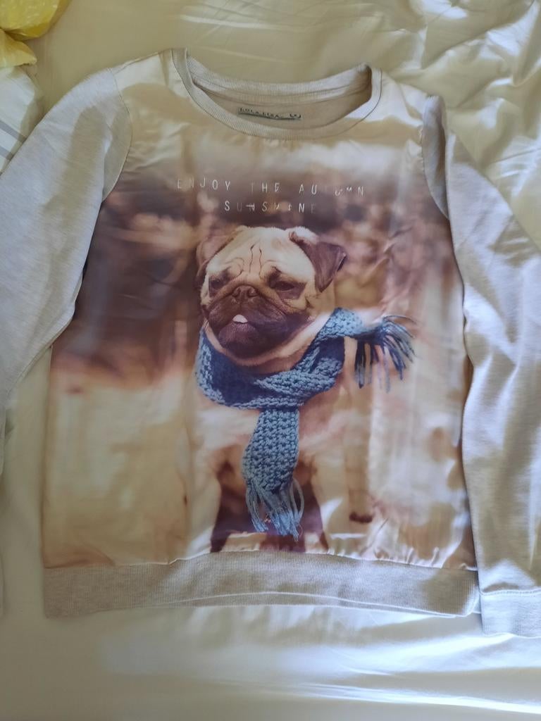 Trui maat small, Kleding | Dames, Ophalen of Verzenden