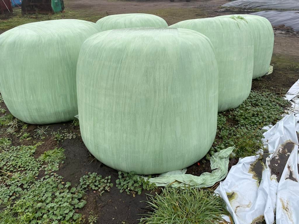 Gras bollen te koop, Dieren en Toebehoren, Ophalen, Vee