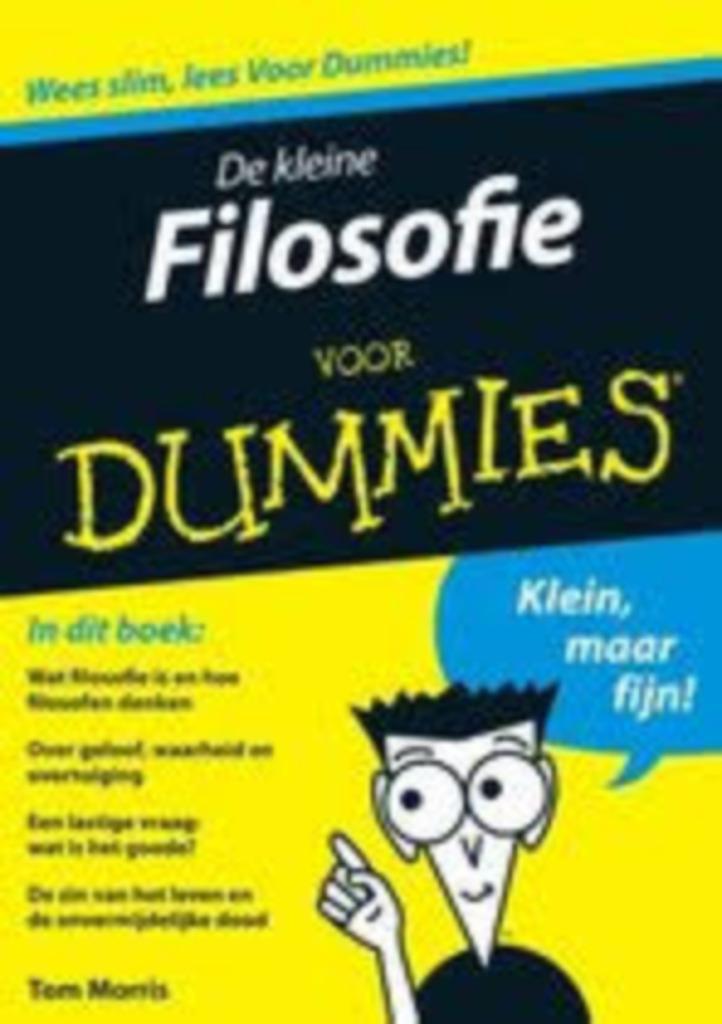 Filosofie voor Dummies|Tom Morris 9789043006866, Boeken, Filosofie, Wijsbegeerte of Ethiek, Ophalen of Verzenden, Zo goed als nieuw