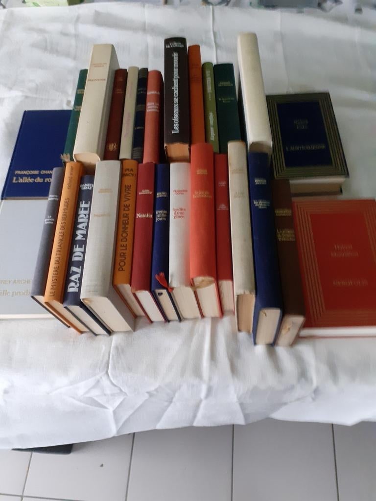 Livres de romans français, Enlèvement, Utilisé