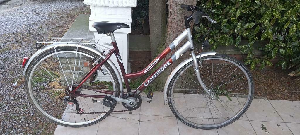 Cambridge Damesfiets, Fietsen en Brommers, Ophalen, Gebruikt, Versnellingen