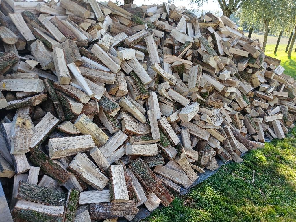 1 ste keus Brandhout beuken of eiken of een mix hiervan, Jardin & Terrasse, Bois de chauffage, Bûches, Hêtre, Enlèvement