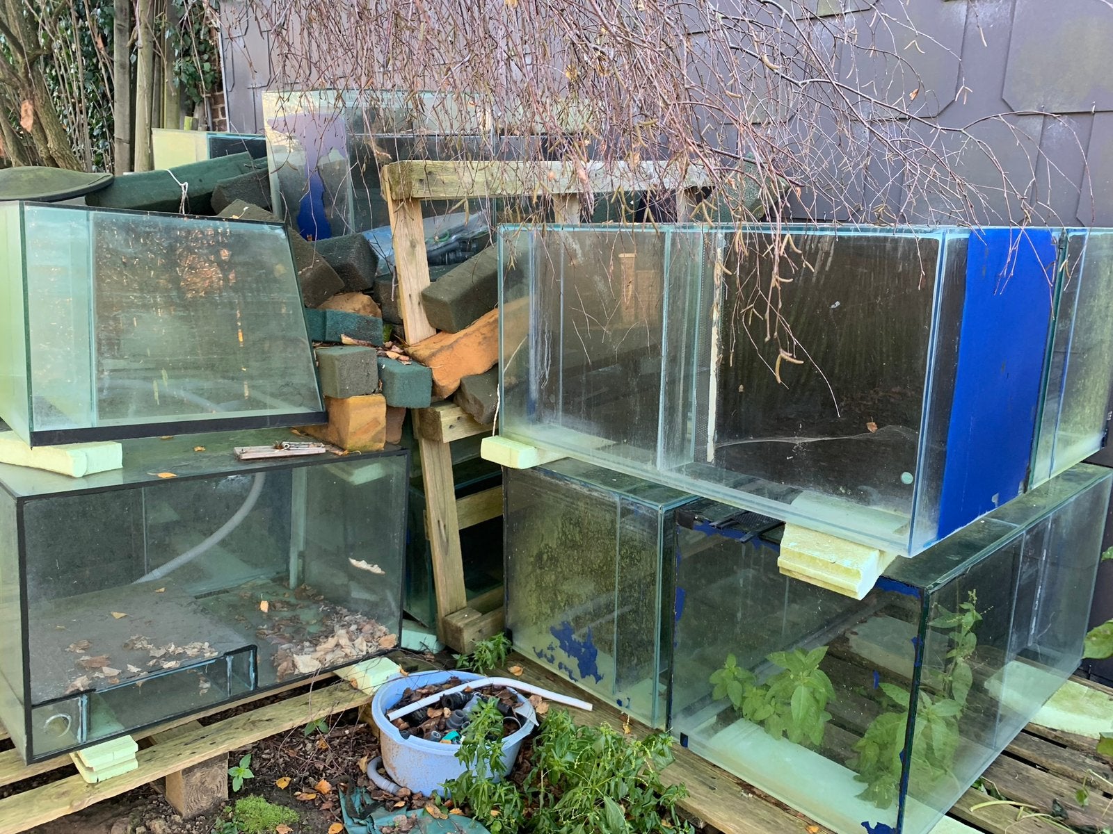 Aquariums d’élevages, Animaux & Accessoires, Enlèvement, Utilisé, Aquarium vide