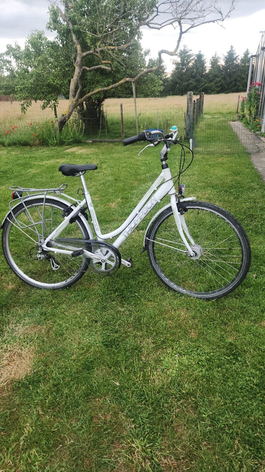 Dames fiets