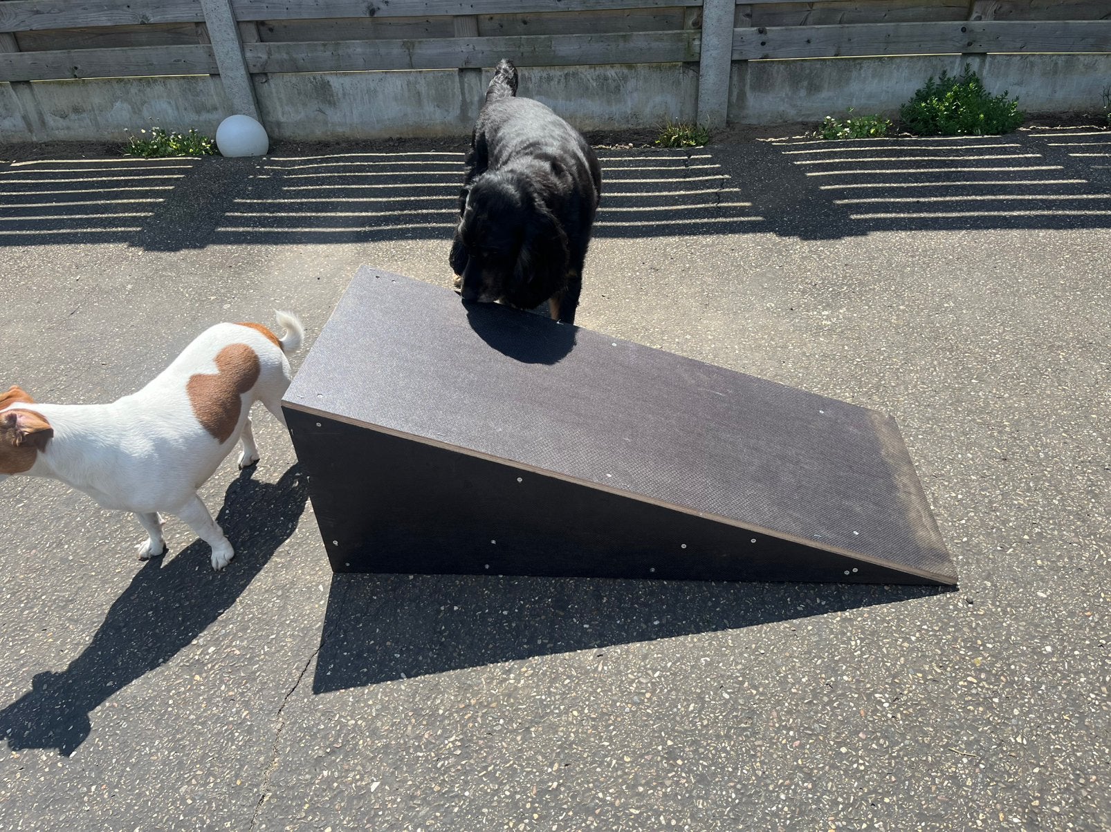 GRATIS Opstapje hond, Dieren en Toebehoren, Honden-accessoires, Ophalen, Zo goed als nieuw