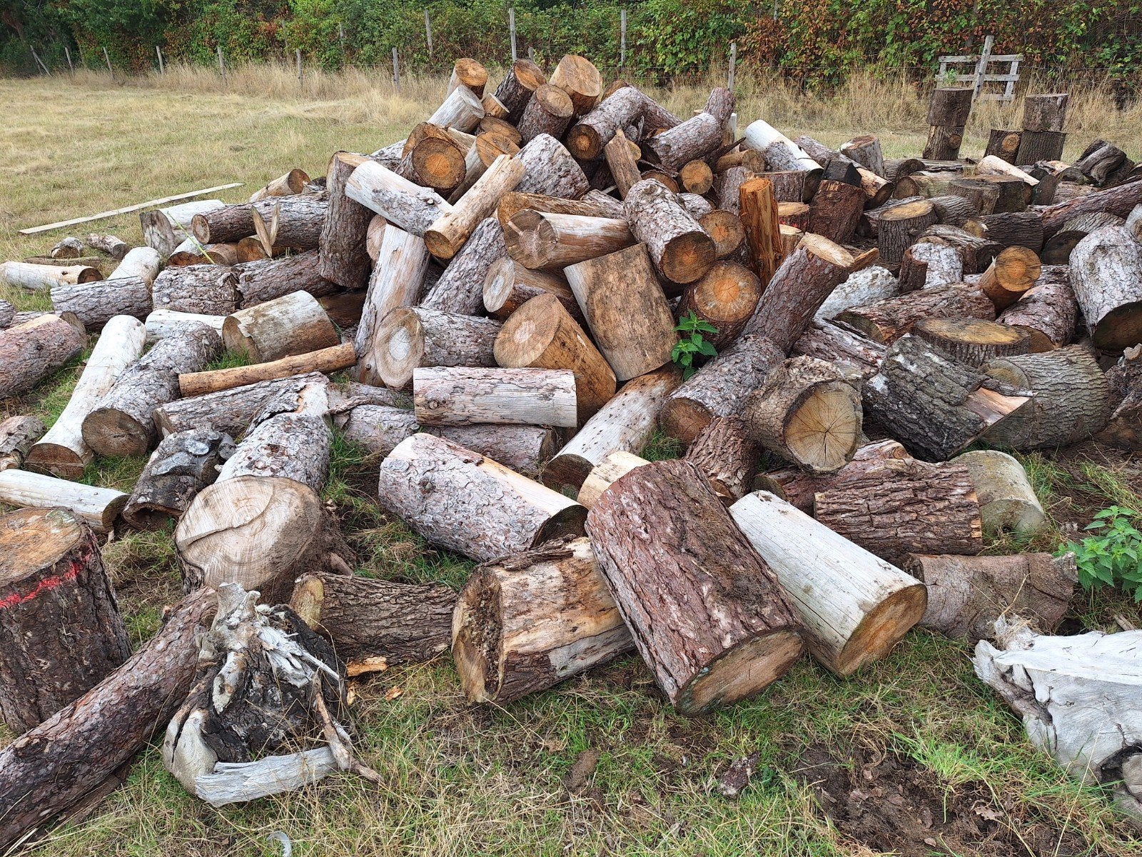 brandhout, Tuin en Terras, Ophalen, Stammen