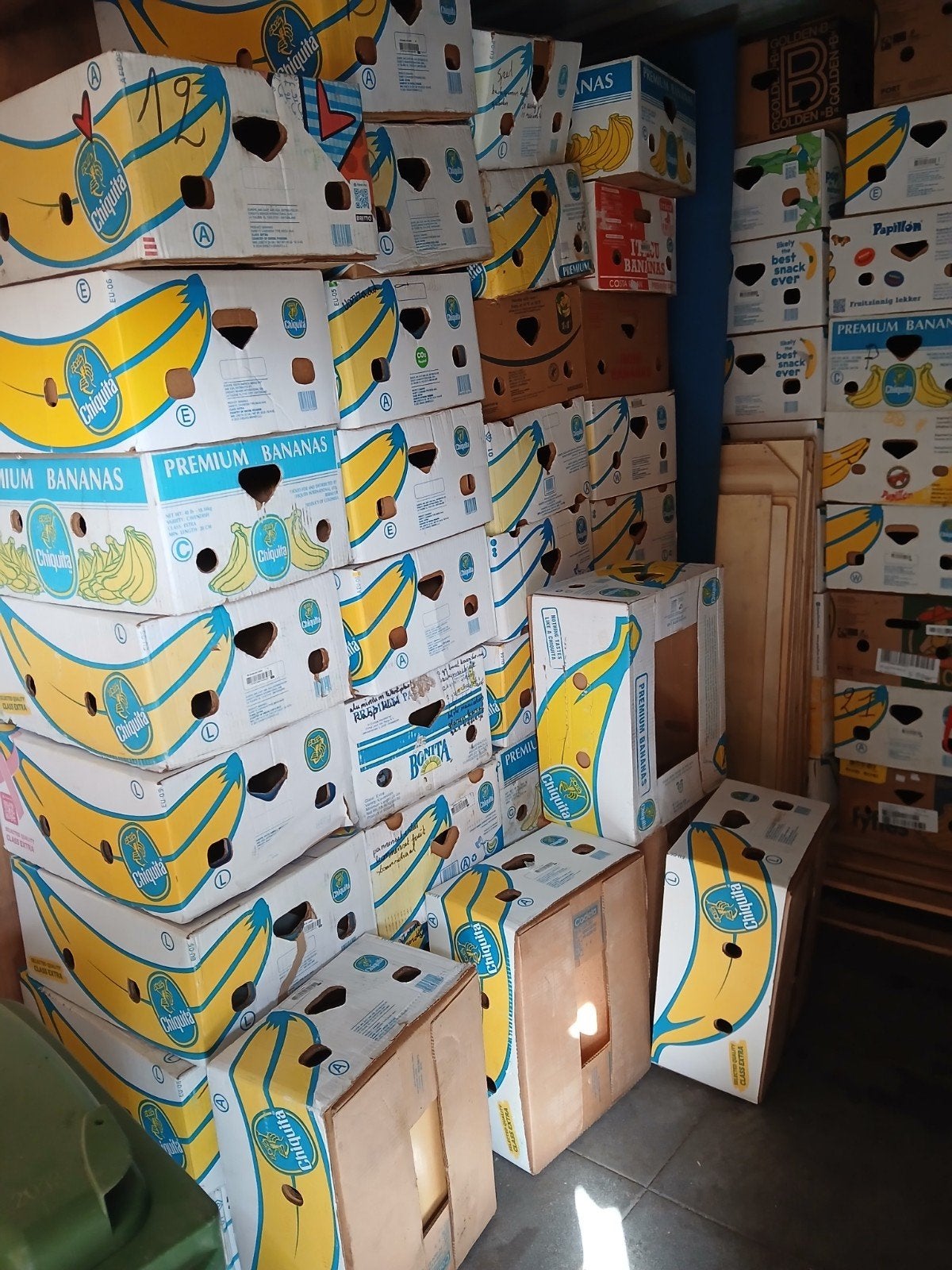 bananendozen
Bananendozen
Bananendozen



Bananendozen, Ophalen