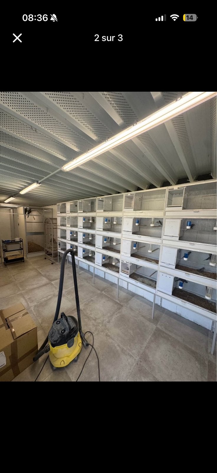 Batterie elevage oiseaux, Enlèvement ou Envoi, Comme neuf, Autres matériaux, Cage d'élevage
