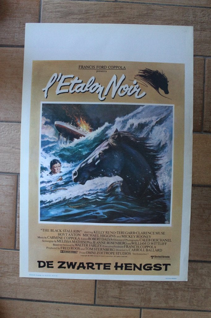 filmaffiche The Black Stallion 1979 filmposter, Rechthoekig Staand, Ophalen of Verzenden, Zo goed als nieuw, A1 t/m A3