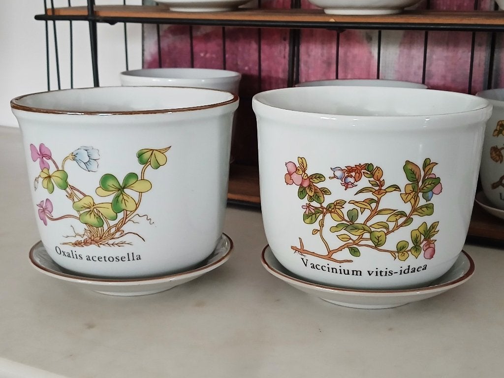 Vintage bloempotten botanica porselein Ø 13,5cm met schotel, Enlèvement ou Envoi, Intérieur