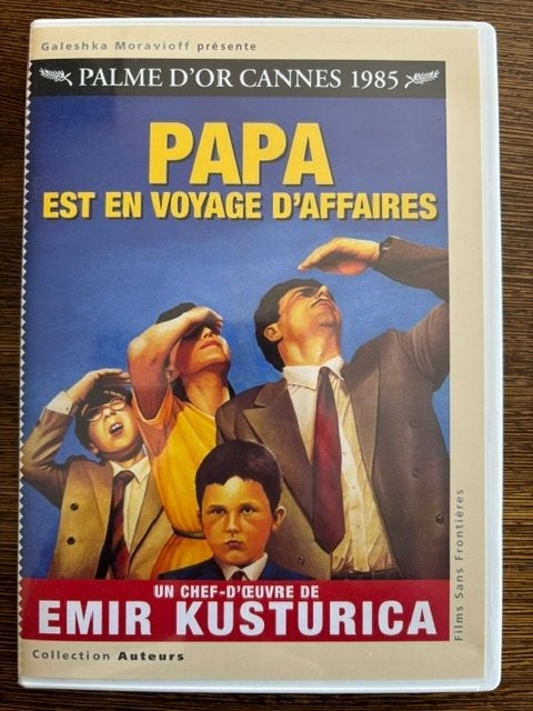 Papa est en Voyage d'Affaire (Palme d'Or Canne), CD & DVD, DVD | Classiques, À partir de 6 ans, Suppléments, Drame, Enlèvement
