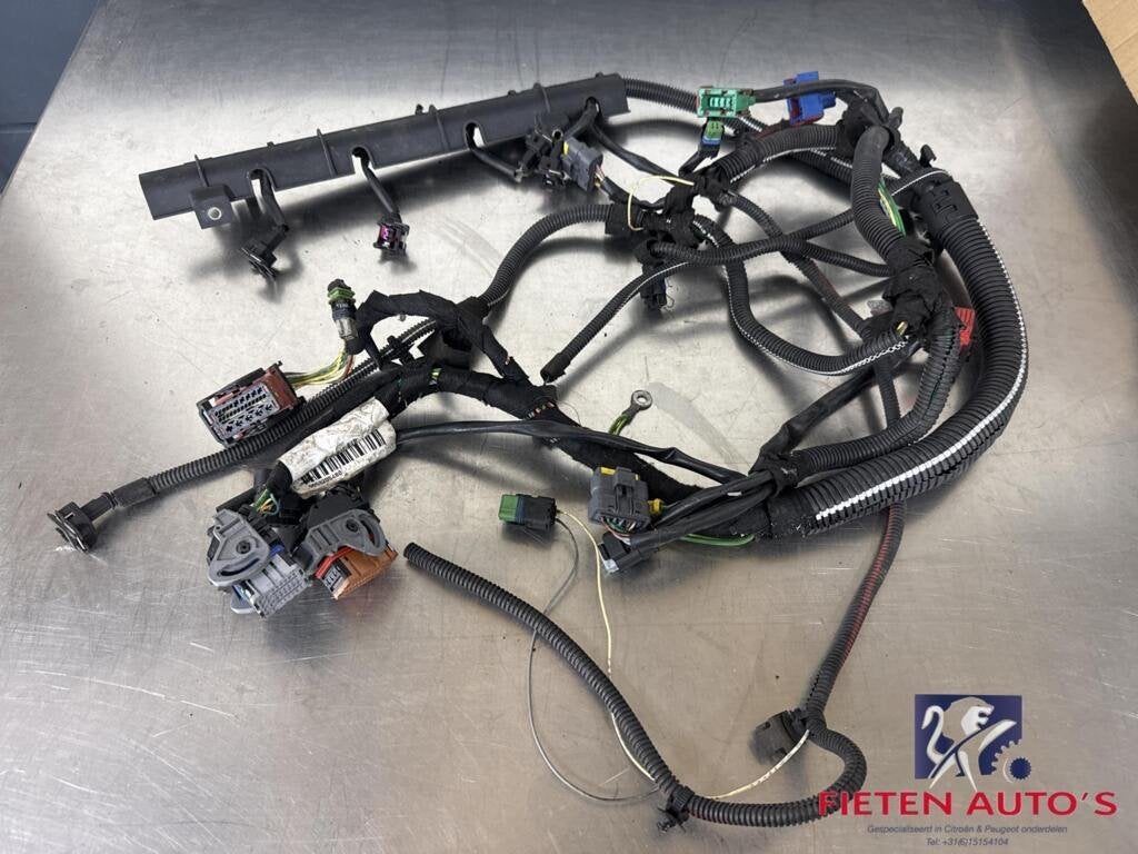 Kabelboom motor Peugeot 307 CC 2.0-16V RFK 9659205480, Enlèvement ou Envoi, Utilisé, Peugeot, Peugeot
