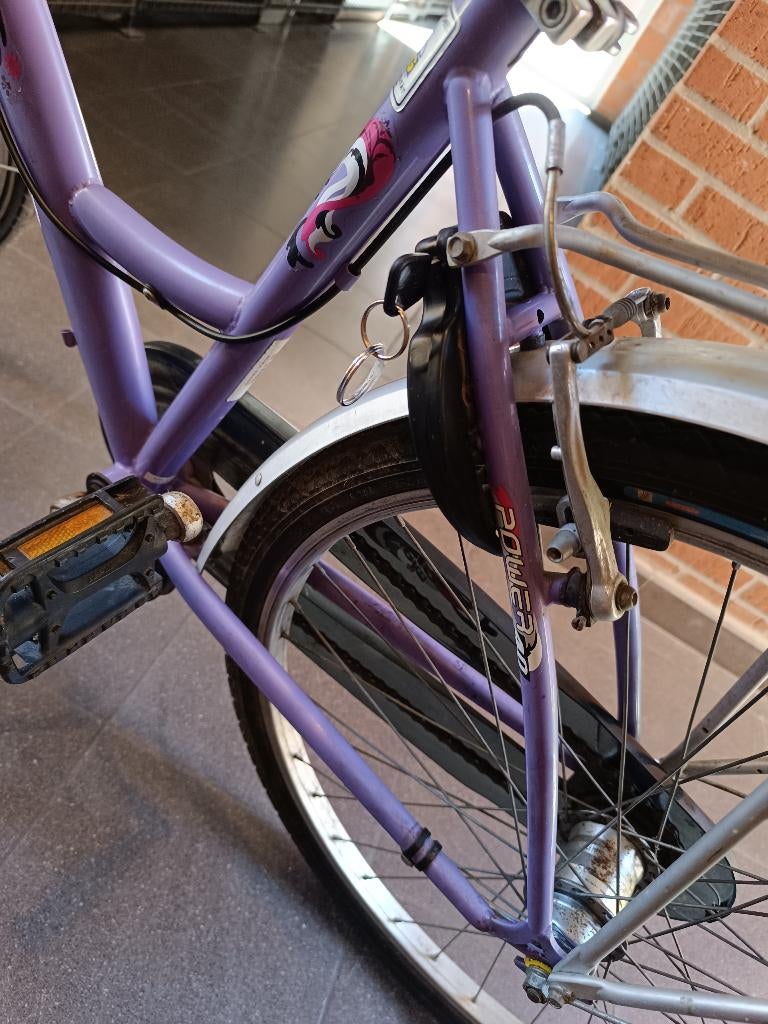 Dames/meisjes fiets, van merk Pegasus, 26 inch, Autres marques, Vitesses, Frein à rétropédalage, Enlèvement