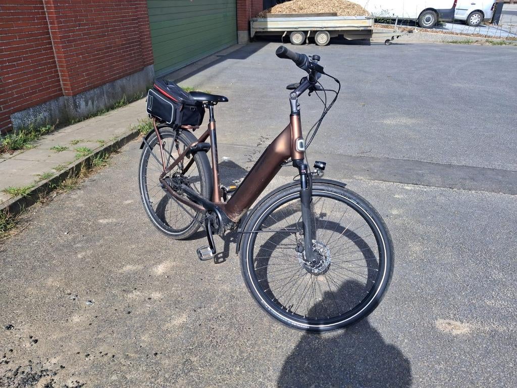 Giant elektrische fiets, Fietsen en Brommers, Ophalen