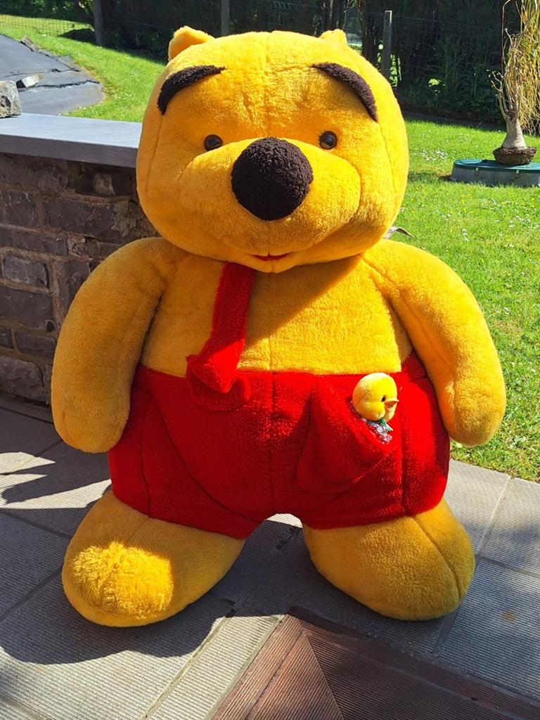 Peluche Winnie vintage, Enlèvement