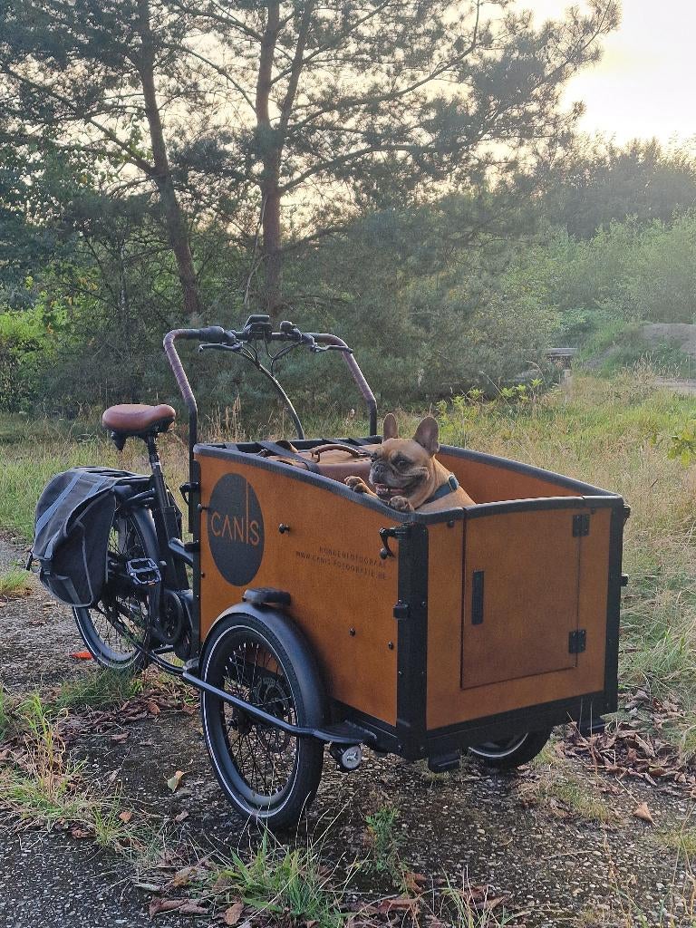 Elektrische bakfiets Aitour Cargo, Neuf, Autres marques, Électrique, Enlèvement