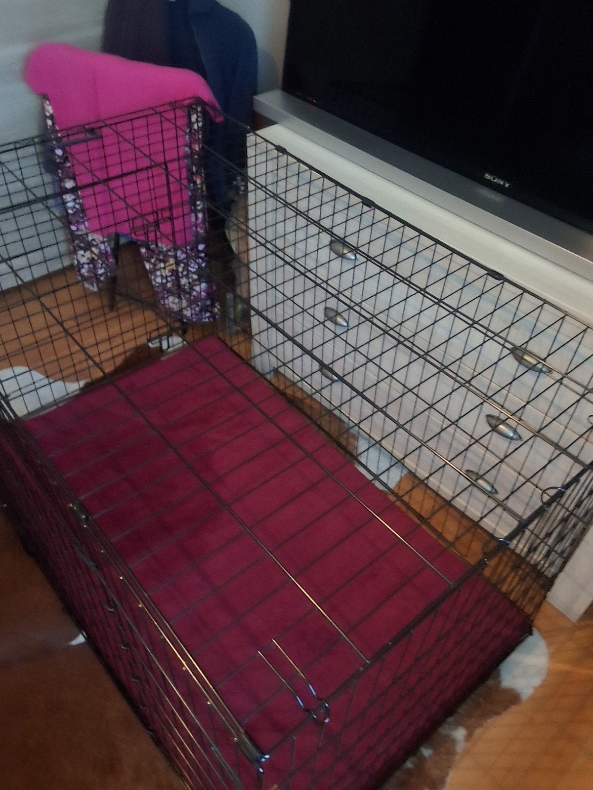 bench voor grote hond, Dieren en Toebehoren, Ophalen