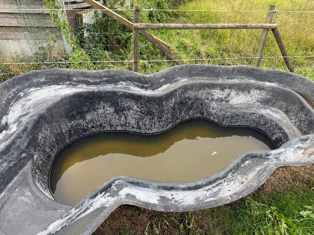 polyester vijver, Tuin en Terras, Ophalen, Gebruikt