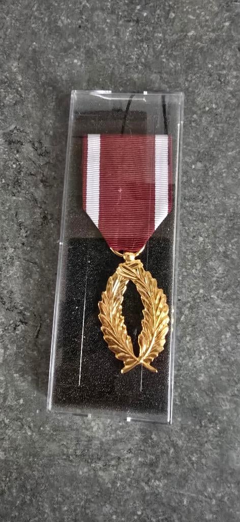 Les Palmes d'Or de l'Ordre de la Couronne, Enlèvement, Armée de terre, Ruban, Médaille ou Ailes