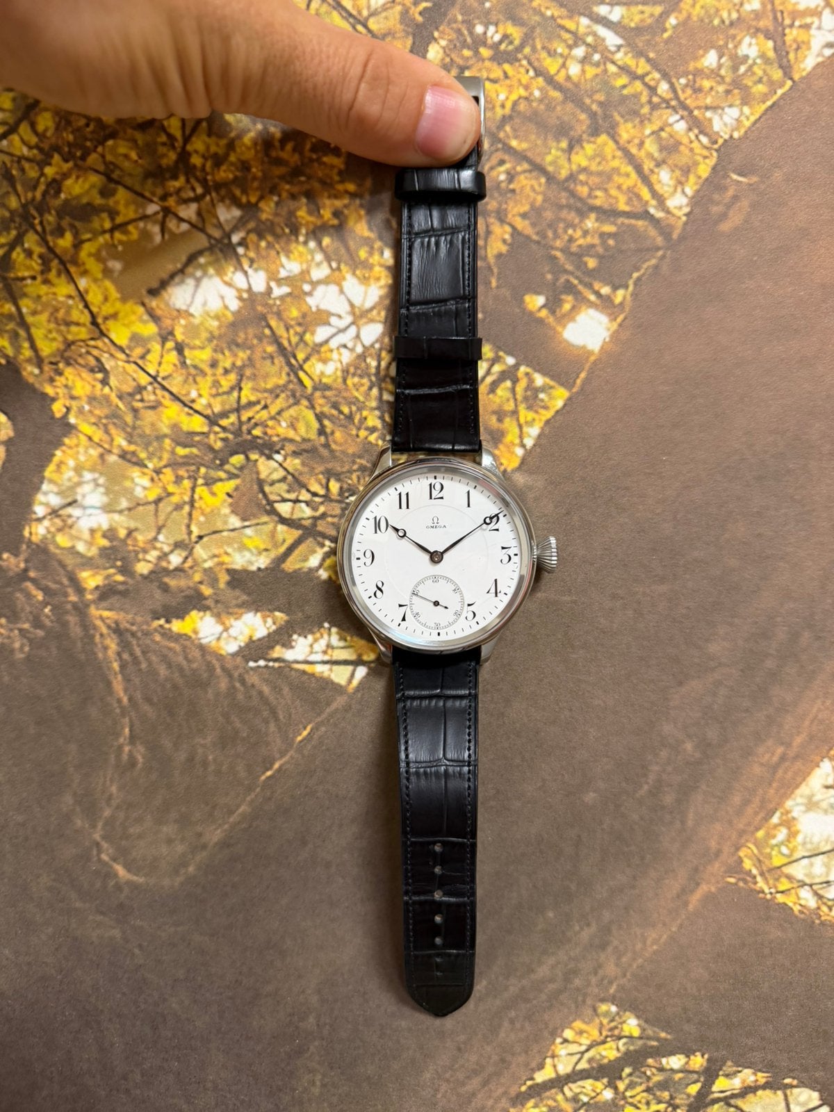 Omega jaren 1900, gerenoveerd. Absoluut top pro max, Ophalen, Zo goed als nieuw, Omega