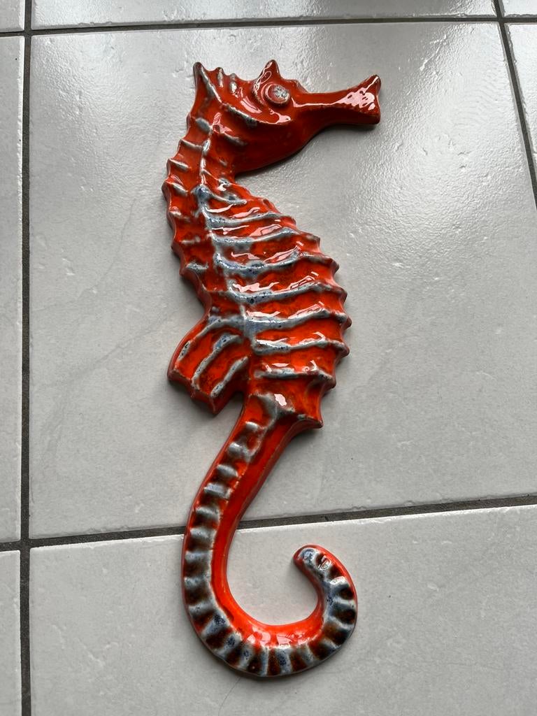 Zeepaardje, Dieren en Toebehoren, Reptielen en Amfibieën