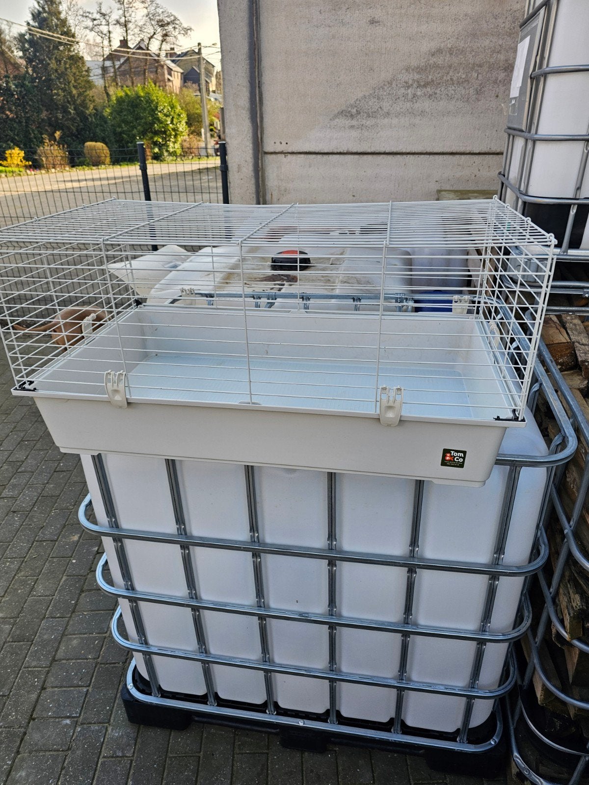 cage pour rongeur, Enlèvement