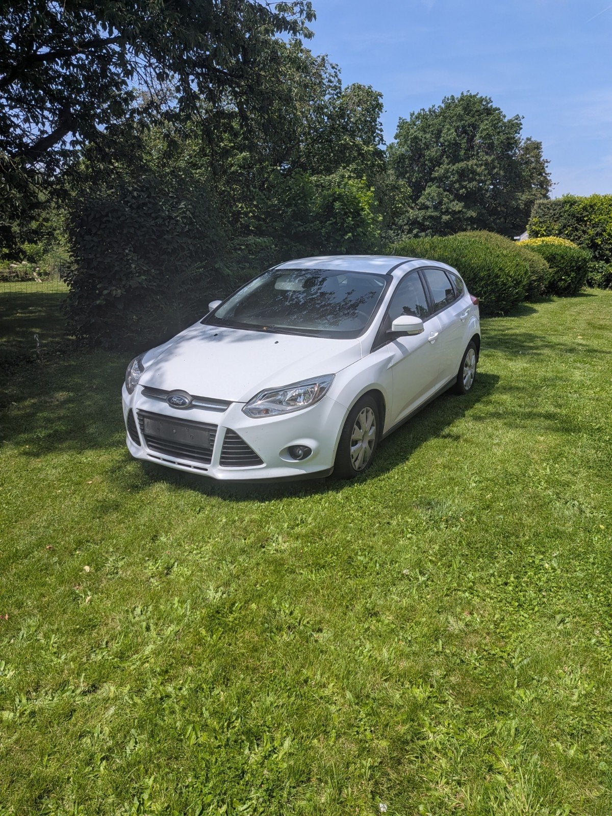Vend Ford focus 2014, Euro 5, Wit, Diesel, 5 deurs