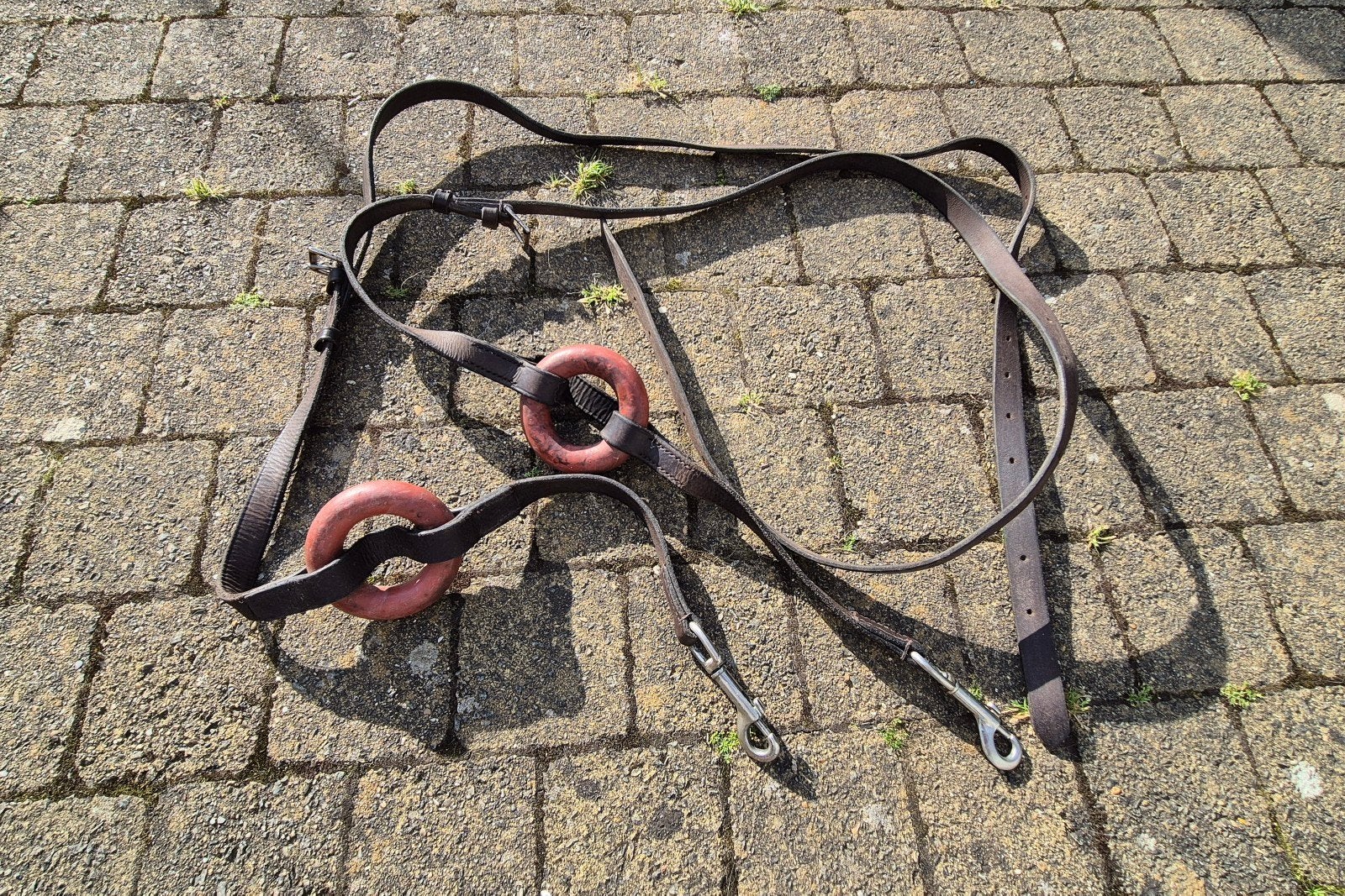 Équitation : élastiques - enrênements, Enlèvement