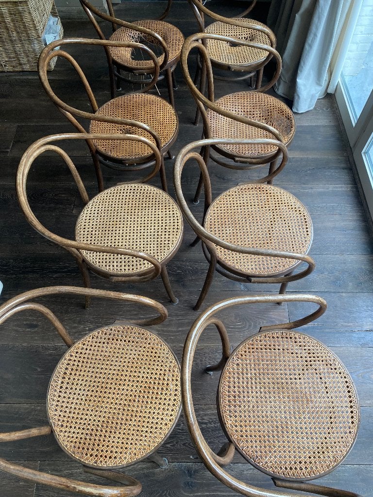 THONET STOELEN, Ophalen, Gebruikt, Bruin, Vijf, Zes of meer stoelen