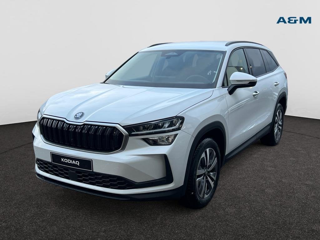 Skoda Kodiaq Kodiaq 1.5 TSI MHEV Family 7pl. DSG, Auto's, Automaat, Navigatiesysteem, https://public.car-pass.be/vhr/90fc60c7-2de1-4267-ac4f-f9c20243982f