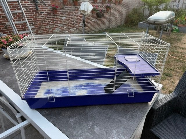 caviakooi (dwergkonijn, hamster), Kooi, Gebruikt, Hamster, 75 tot 110 cm