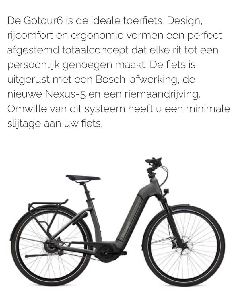 Flyer Go Tor 6 Medium, Fietsen en Brommers, Ophalen, Gebruikt, 50 km per accu of meer, Overige merken