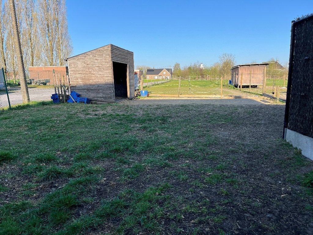 Stalling, Mise à l'étable, 1 cheval ou poney