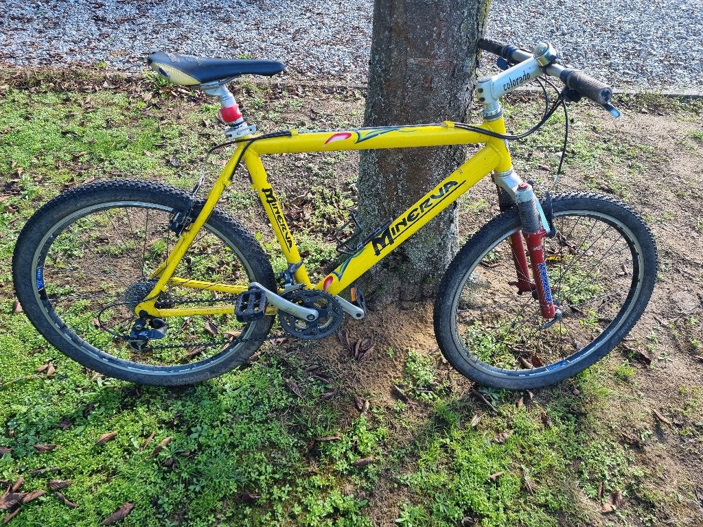 Mountainbike. Minerva., Vélos & Vélomoteurs, Autres marques, Frein sur jante, Enlèvement, Utilisé