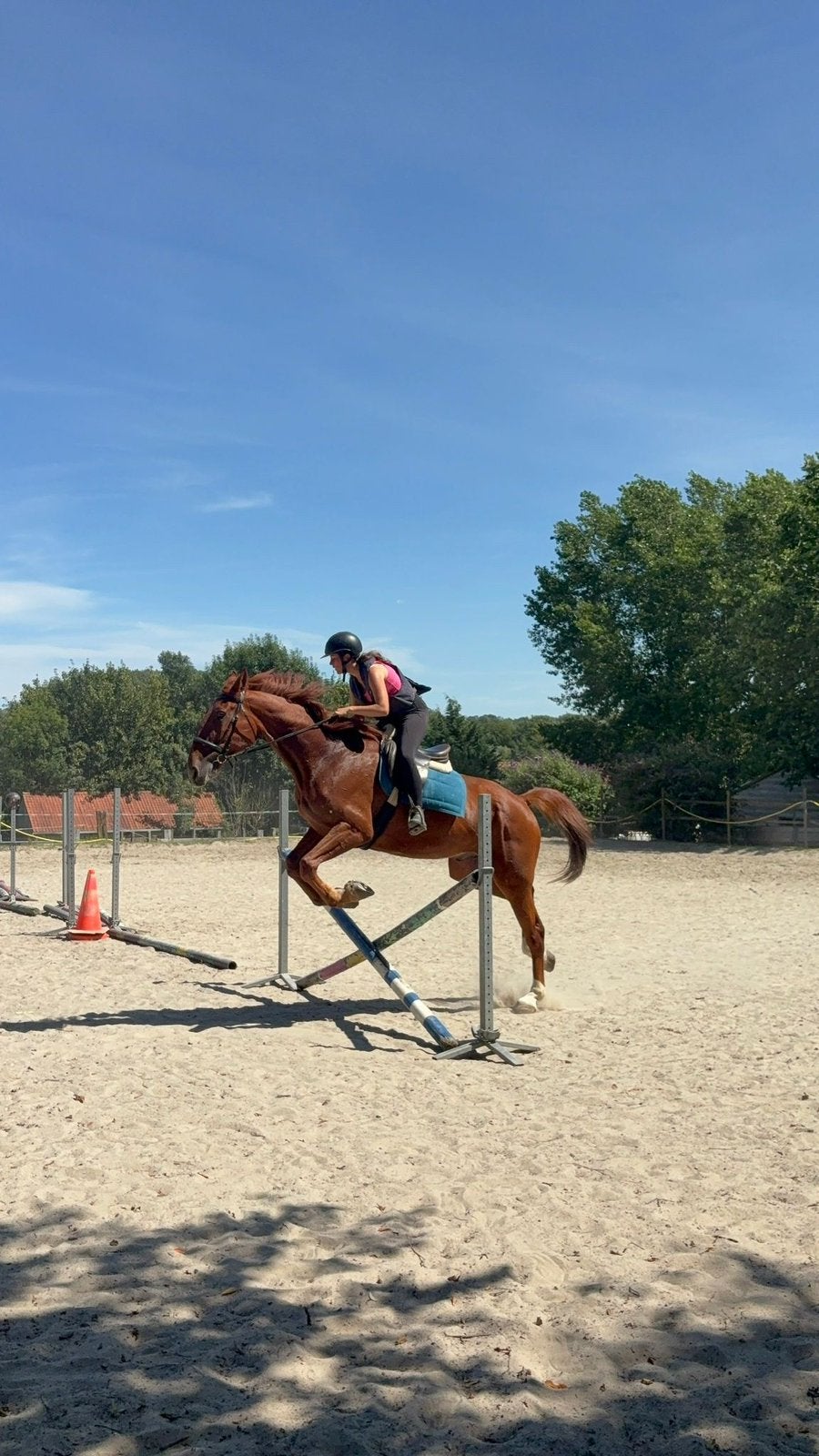 Cheval très grand surper pour obstacle 9ans, Enlèvement ou Envoi