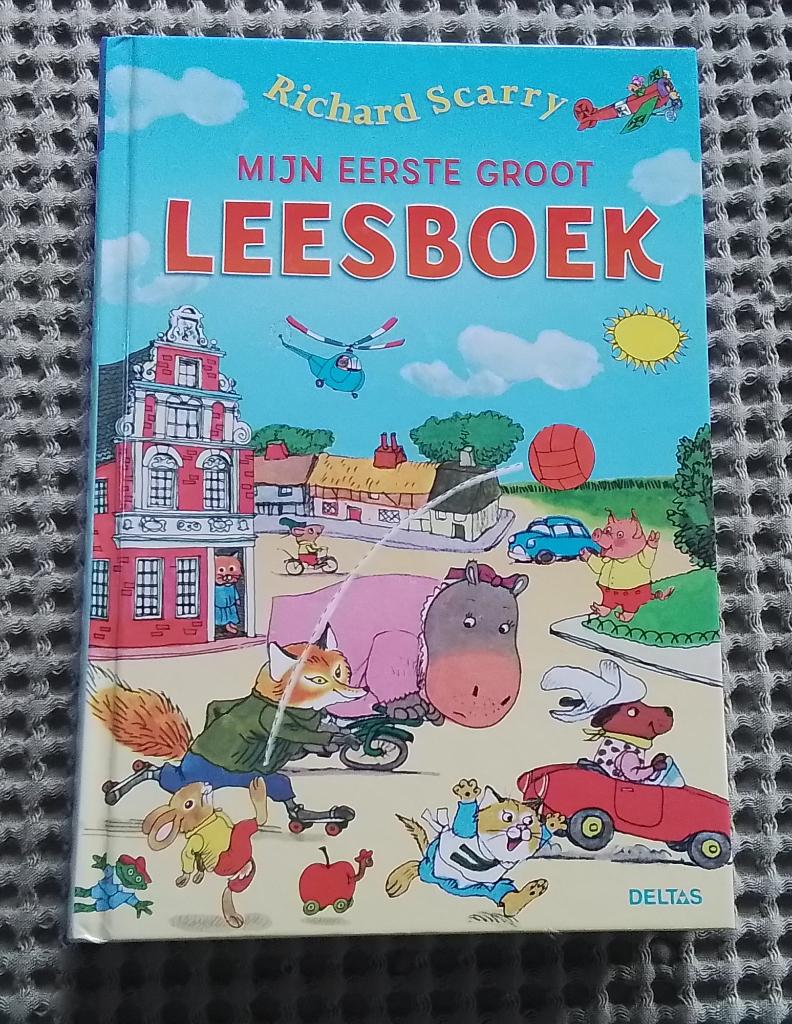 Mijn eerste groot leesboek / Richard Scarry, Ophalen of Verzenden, Gelezen