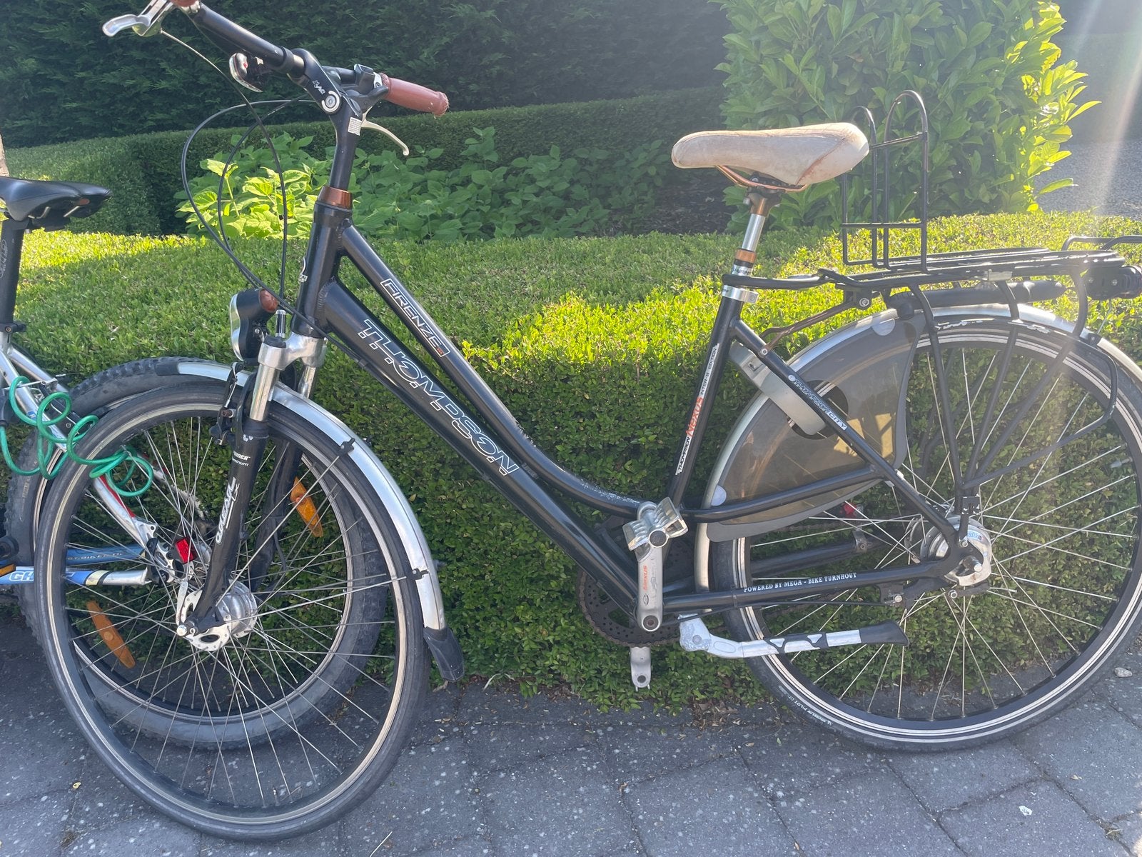 Damesfiets THOMPSON Firenze 48cm met Nexus8, Accès (extra) bas, Autres marques, Frein sur jante, Enlèvement