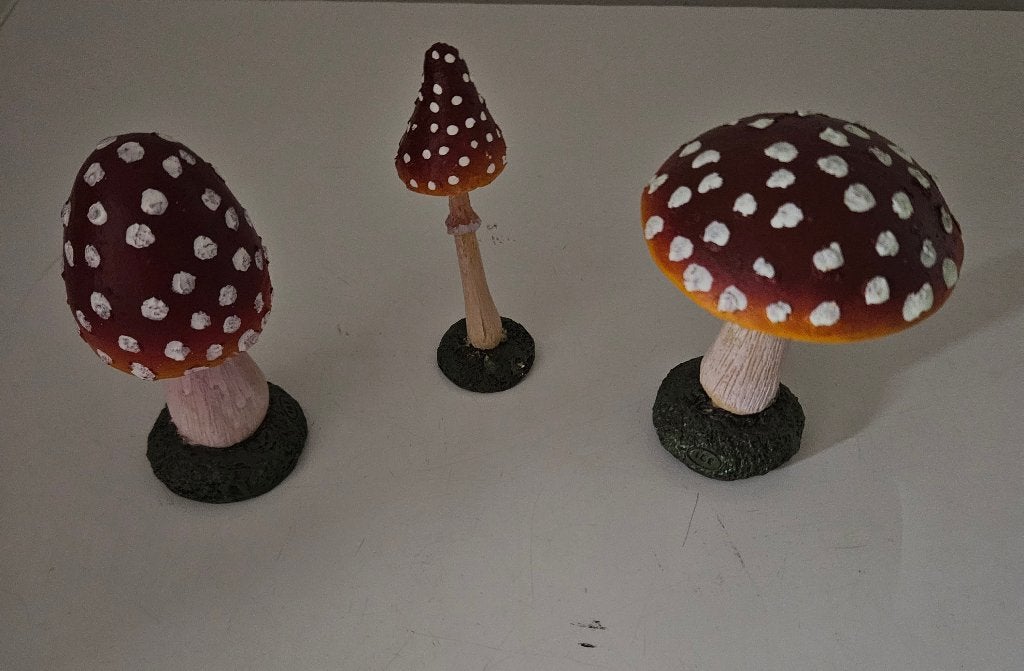 Decoratie paddenstoelen, Kinderen en Baby's, Ophalen