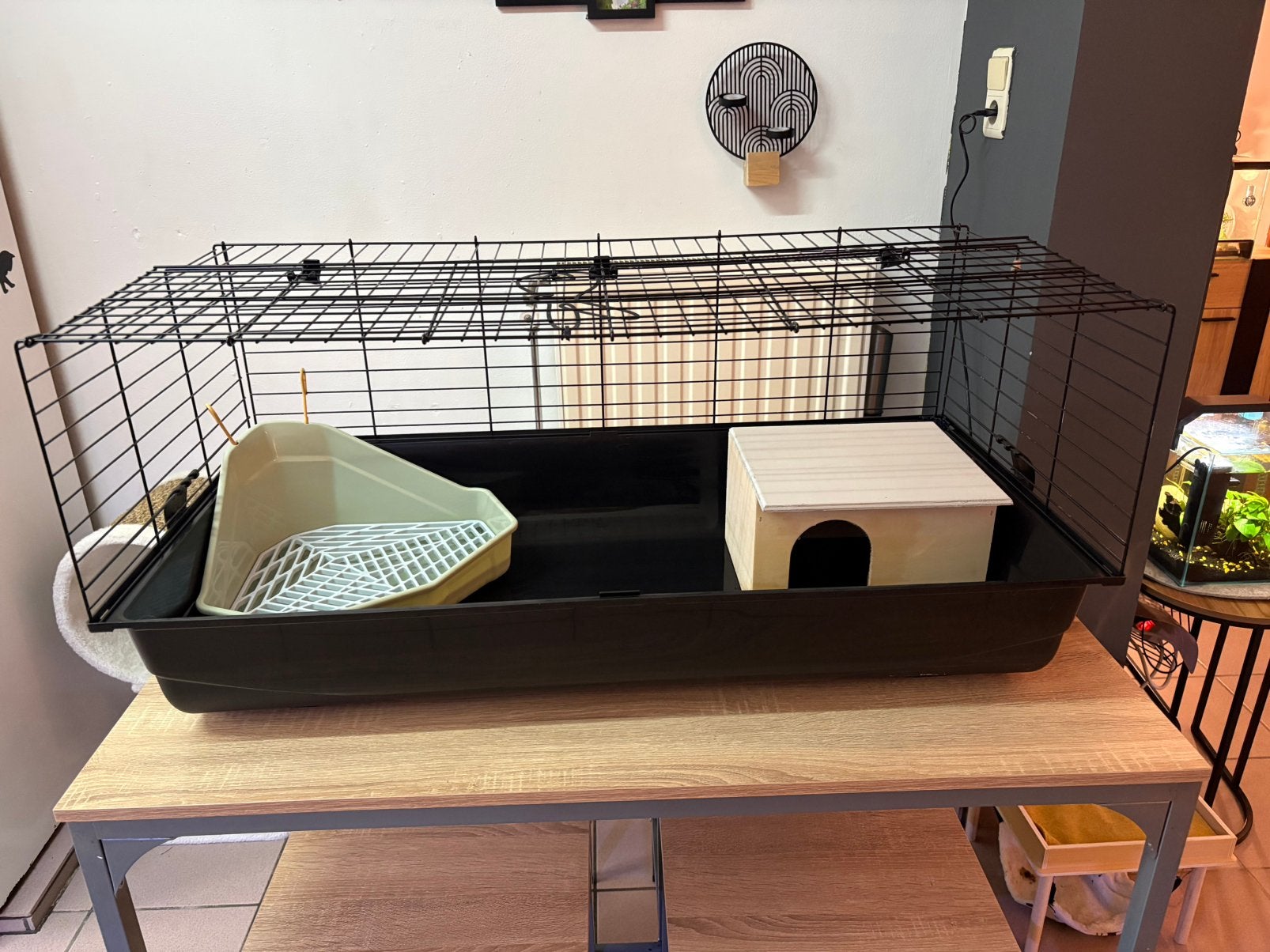 Cage pour lapin, cobaye …, Neuf, Moins de 60 cm, 75 à 110 cm, Cage