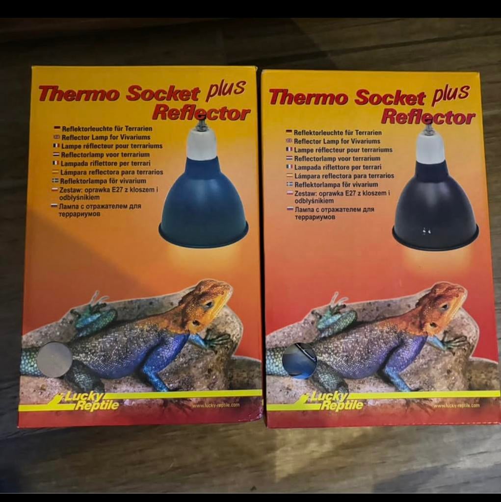 Lampen baardagamen, Dieren en Toebehoren, Ophalen, Zo goed als nieuw